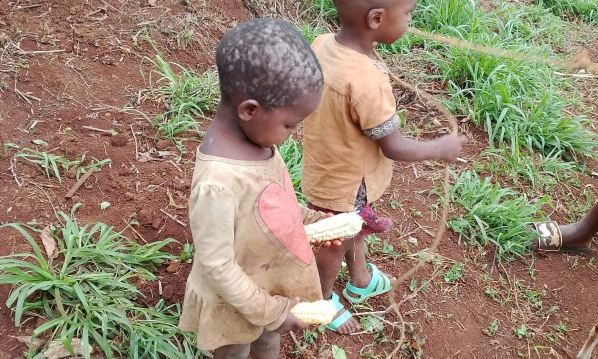 Listening, protecting, and restoring dignity to children who have faced deep injustice.